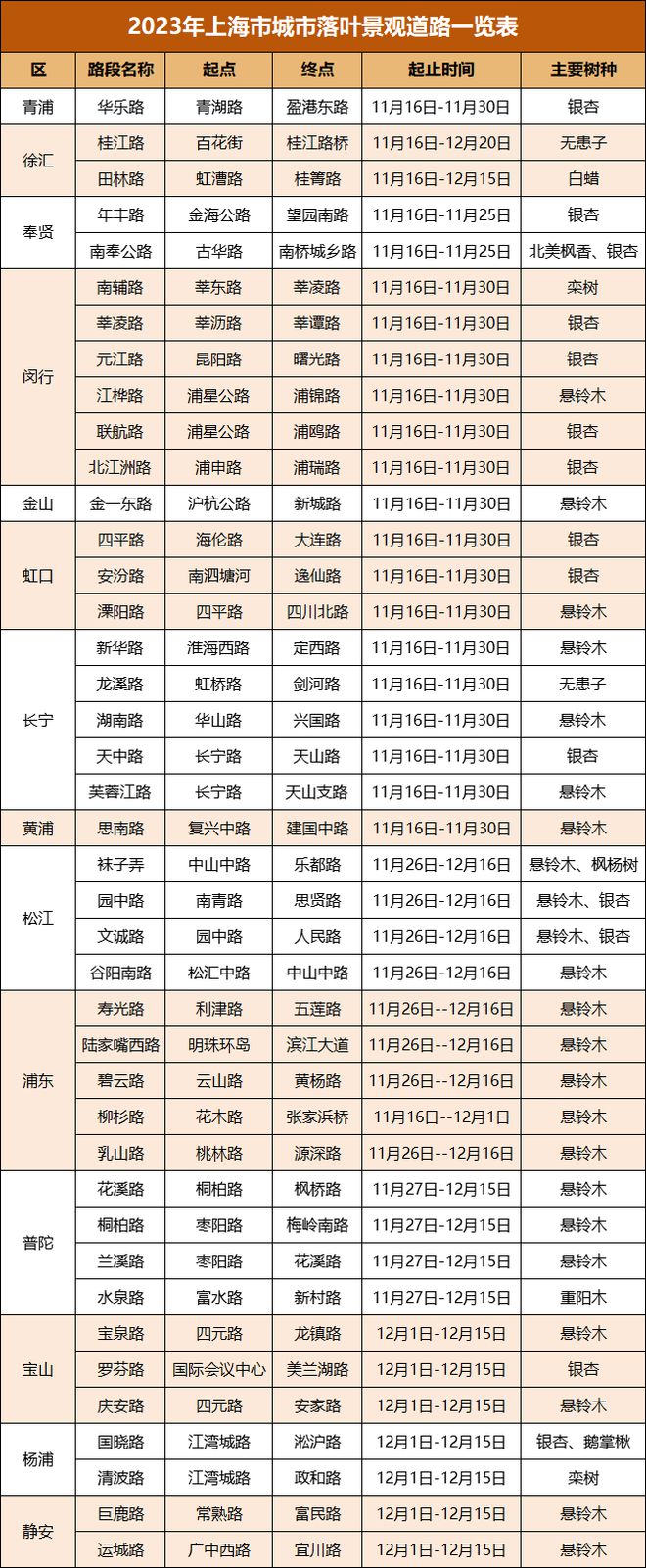 “落叶不扫”的上海究竟有多浪漫？CityWalk、慢跑、骑行……火狐电竞app首页(图17)