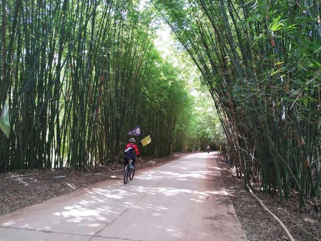 骑行重视程度和效果成正火狐电竞app首页比——让你的骑行之旅更加精彩(图2)