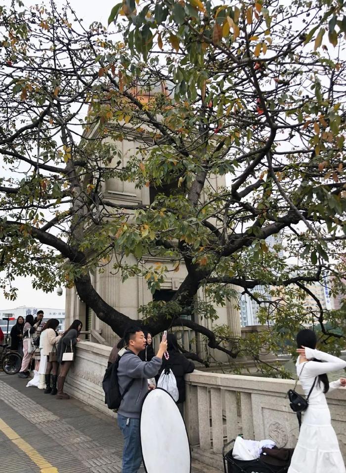 骑火狐电竞行珠江北岸 从沙面-海心沙追逐落日看广州百年风华(图9)