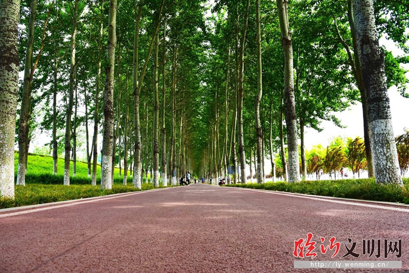 绿色低碳出行｜临沂市加速拥抱“骑行友好城市”火狐电竞平台(图1)