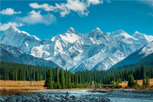 全球首列全景观光山地旅游列车来啦带你沉浸式体验(图4)