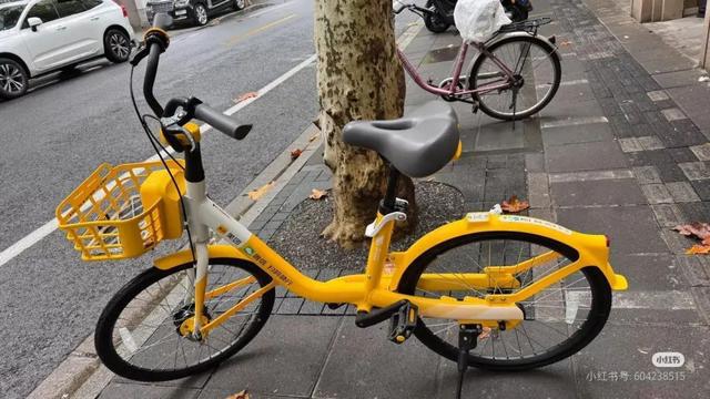 “上海的共享单车(图2)